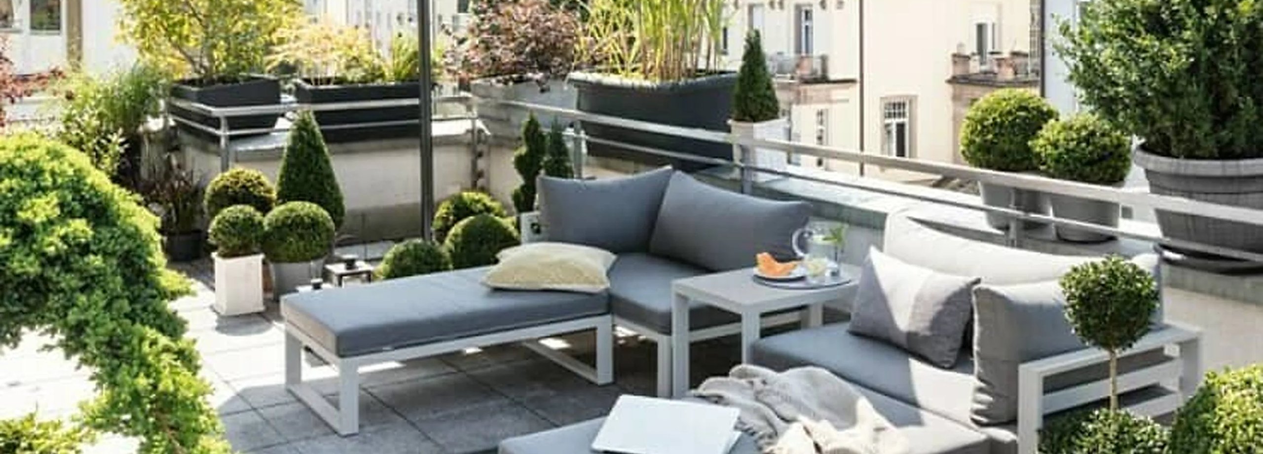 ¿Qué plantar en jardineras de exterior? Las 5 mejores opciones