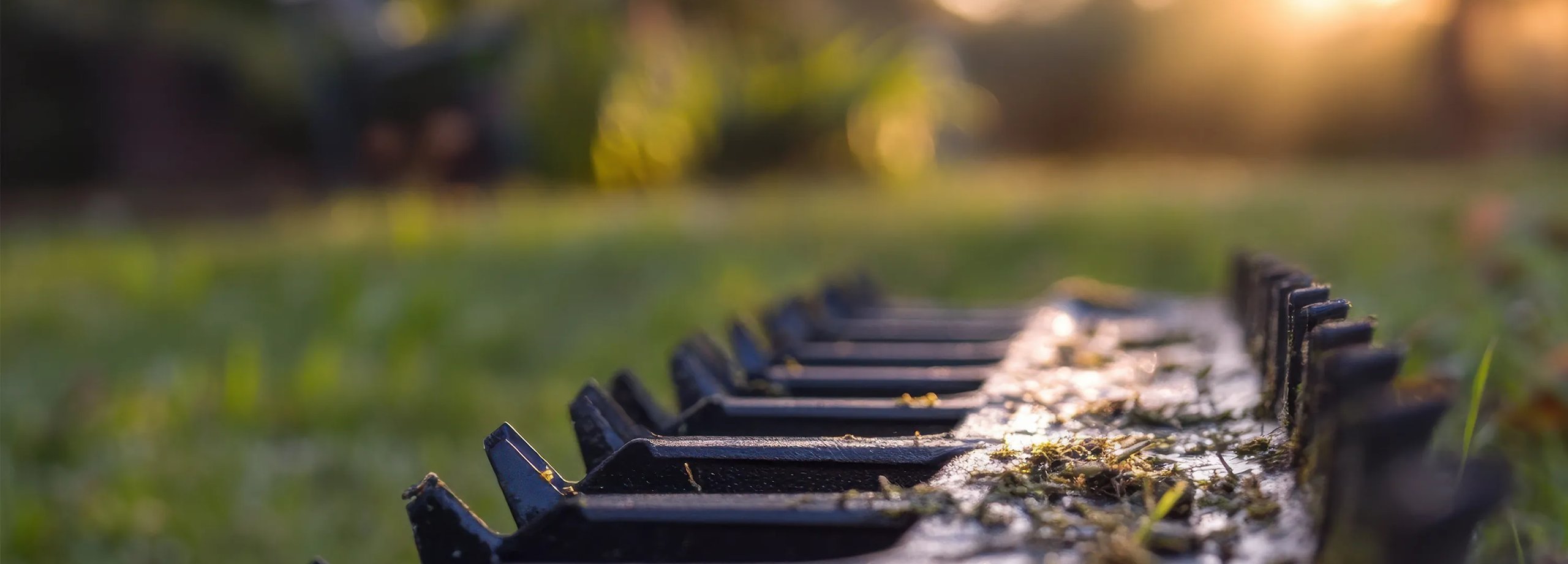 Test - Ready for the barbecue evening