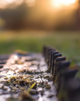 Test - Ready for the barbecue evening