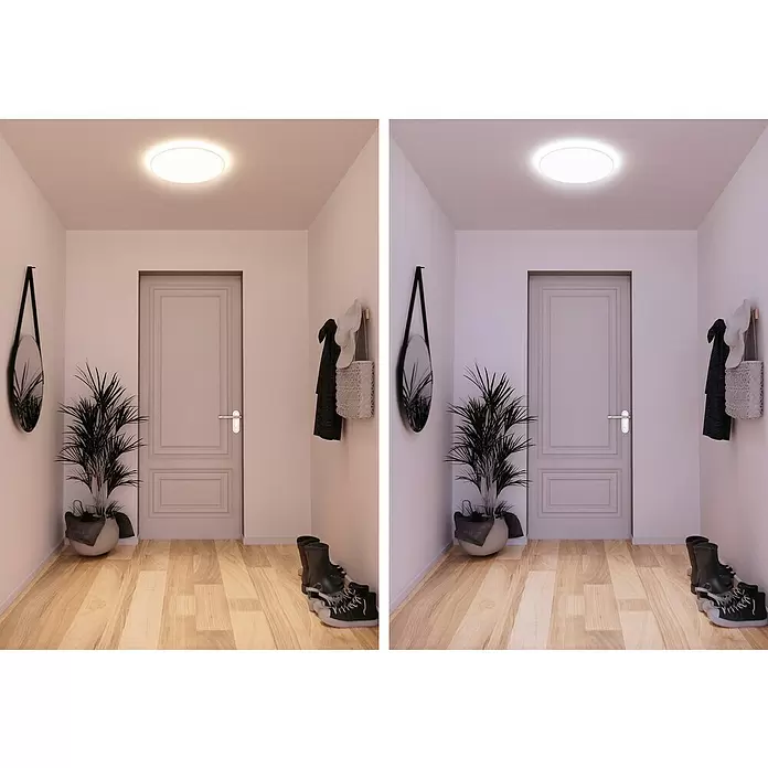 Müller-Licht Tint LED-Panel rund Tint Loris - 30 W, Ø x H: 450 mm x 5,1 cm, Weiß, Warmweiß - Stimmungsaufnahme