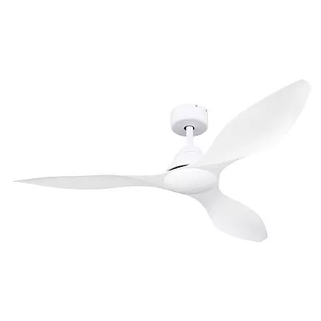 Globo  Deckenventilator Maggie