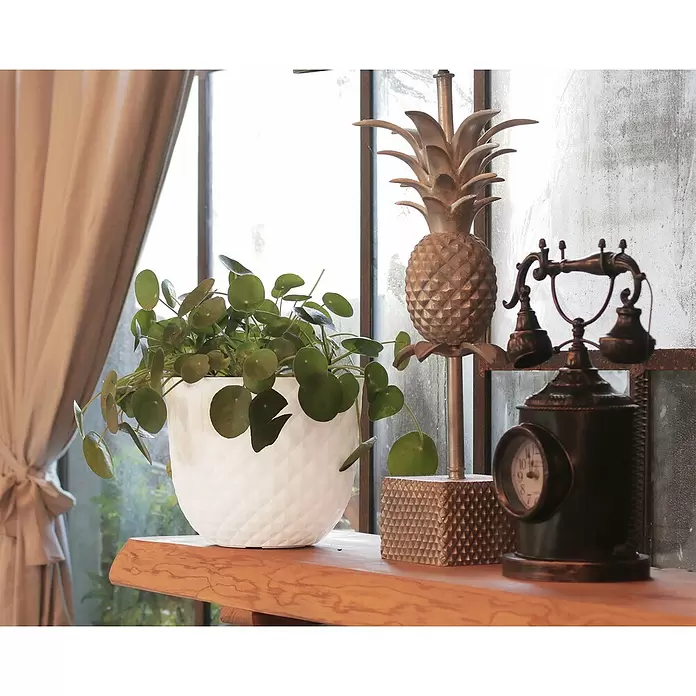 Artevasi Pflanztopf Havanna Tropical - Außenmaß (Ø x H): 30 x 25 cm, Kunststoff, Grau - Stimmungsaufnahme