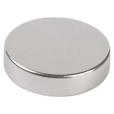 Suki  Magneet 6 stuks