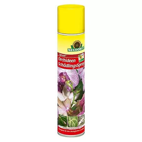 Neudorff Spruzit Orchideen-Schädlingsspray
