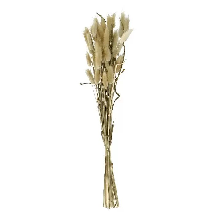 Trockenblumenstrauß mit Kolben - Länge: 50 cm, Hellbraun - Vorderansicht