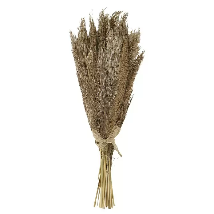Trockenblumenstrauß - Länge: 50 cm, Hellbraun - Vorderansicht