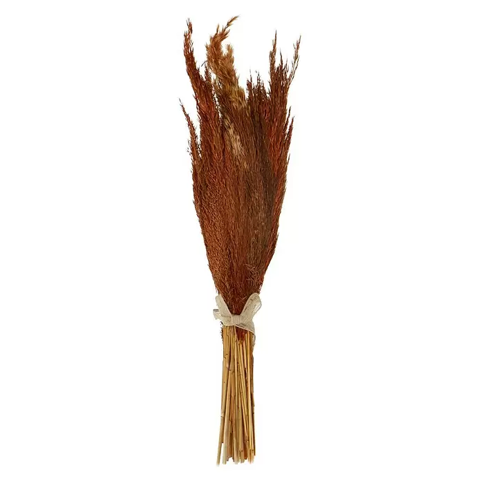 Trockenblumenstrauß - Länge: 50 cm, Kupfer - Vorderansicht