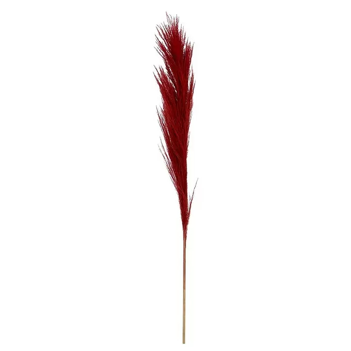 Trockenblume Pampasgras - Länge: 150 cm, Weinrot - Vorderansicht