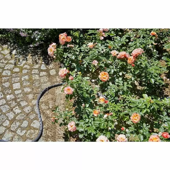Gardena Vrtno crijevo Liano - Dužina crijeva: 10 m, Promjer crijeva: 13 mm (½″) - Živopisni prikaz