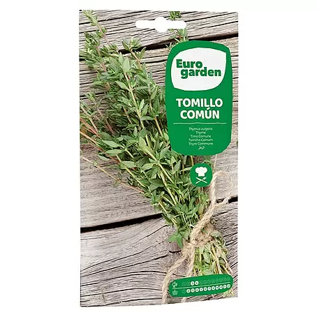 Euro Garden  Semillas de hierbas Tomillo
