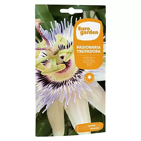 Euro Garden  Semillas de flores Flor de la pasión trepadora