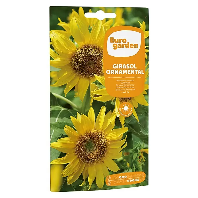 Euro Garden Semillas de flores Girasol Ornamental - Época de floración: Junio - Vista frontal