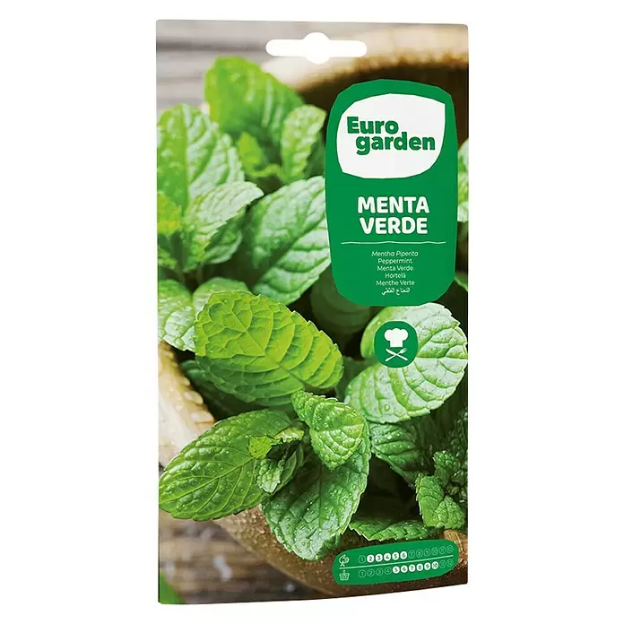 Euro Garden Semillas de hierbas Menta verde - Tiempo de siembra: Febrero, Cosecha: Mayo - Vista frontal