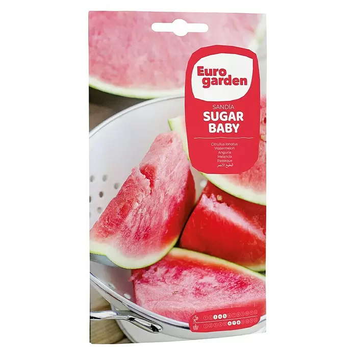 Euro Garden Semillas de vegetales Sandía sugar baby - Cosecha: Junio - Vista frontal