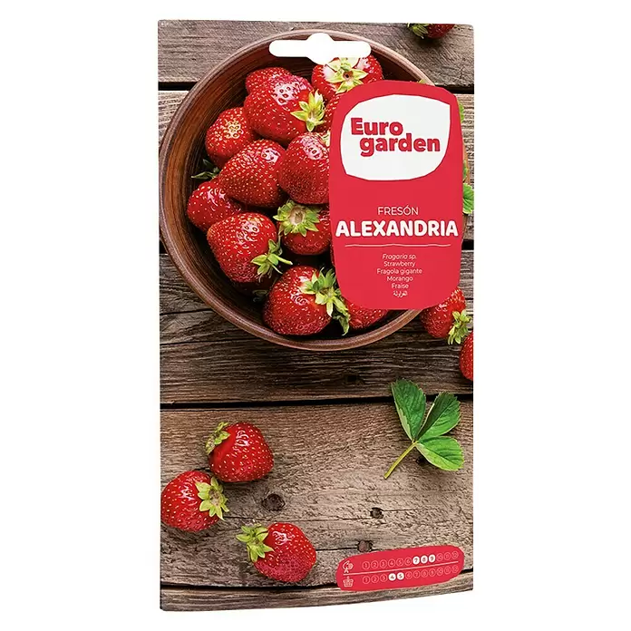 Euro Garden Semillas de frutas Fresas rubí - Cosecha: Abril - Vista frontal