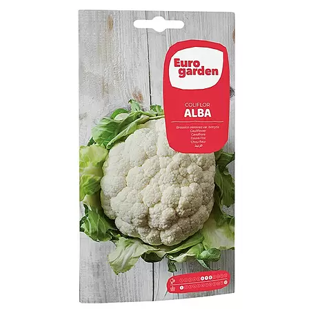 Euro Garden  Semillas de vegetales Coliflor Alba