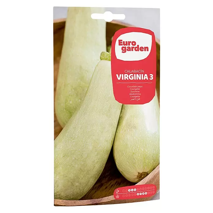Euro Garden Semillas de vegetales Calabacín Virginia - Cosecha: Junio - Vista frontal