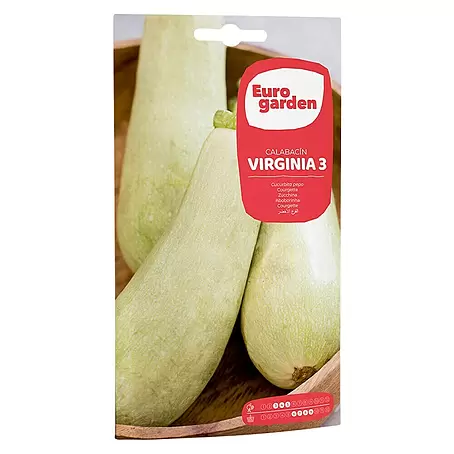 Euro Garden  Semillas de vegetales Calabacín Virginia