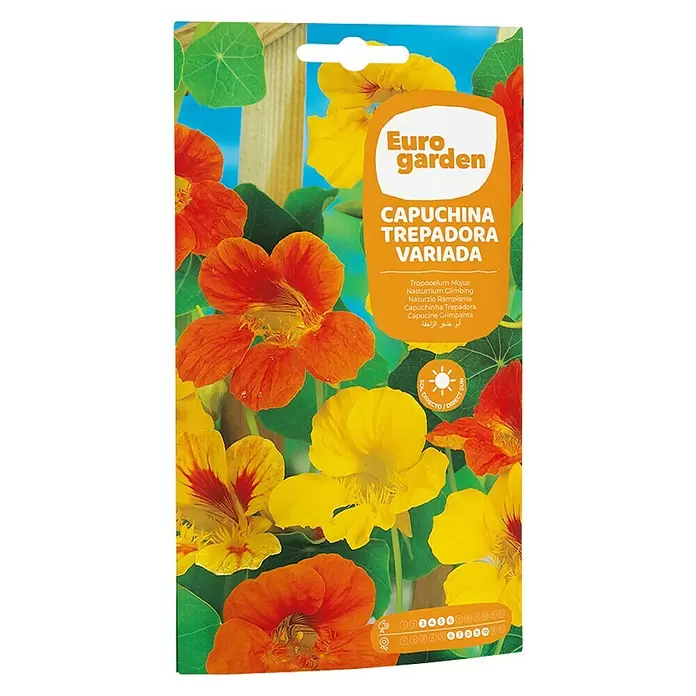 Euro Garden Semillas de hierbas Capuchina trepadora - Tiempo de siembra: Marzo - Vista frontal