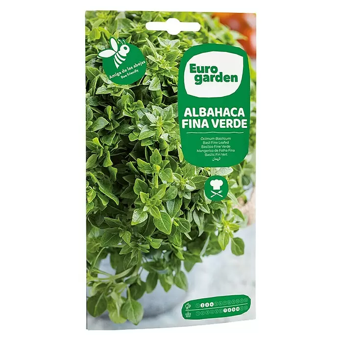 Euro Garden Semillas de hierbas Albahaca fina verde - Tiempo de siembra: Febrero, Cosecha: Julio - Vista frontal