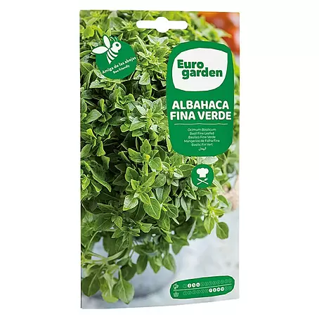 Euro Garden  Semillas de hierbas Albahaca fina verde