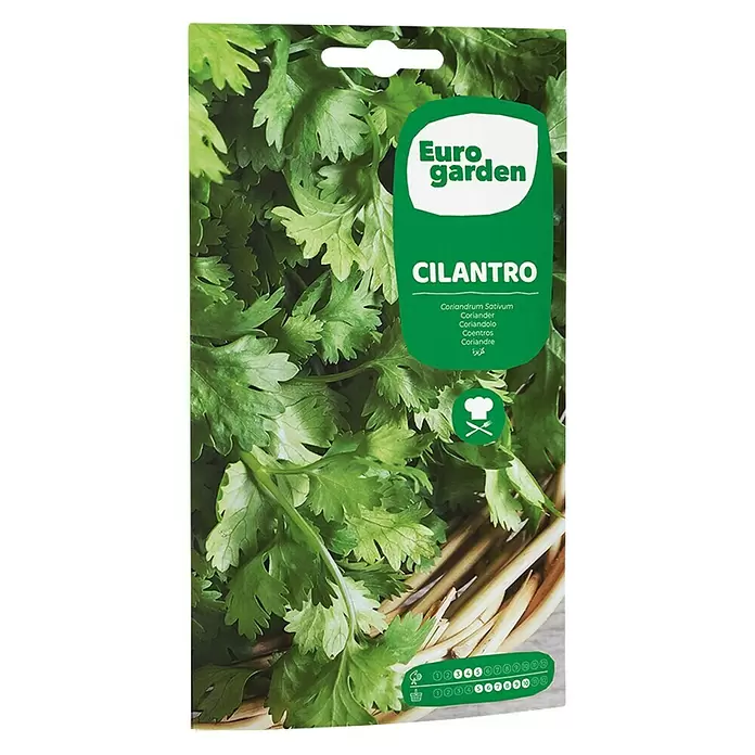 Euro Garden Semillas de hierbas Cilantro - Tiempo de siembra: Marzo, Cosecha: Mayo - Vista frontal