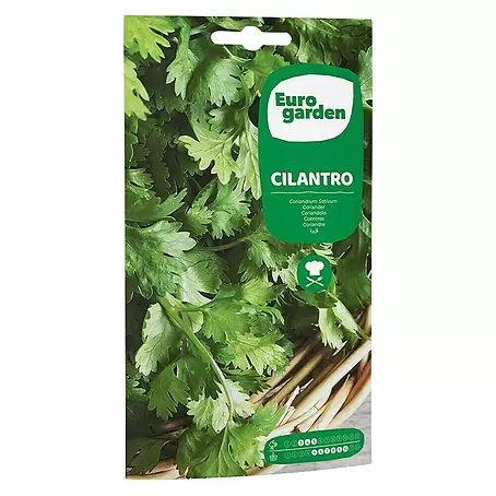 Euro Garden  Semillas de hierbas Cilantro