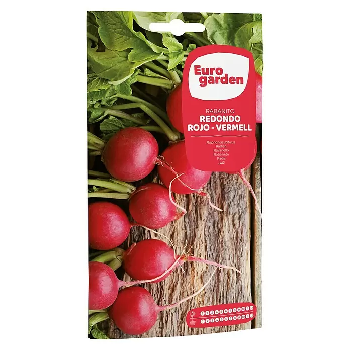 Euro Garden Semillas de vegetales Rabanito Redondo Rojo - Cosecha: Durante todo el año - Vista frontal