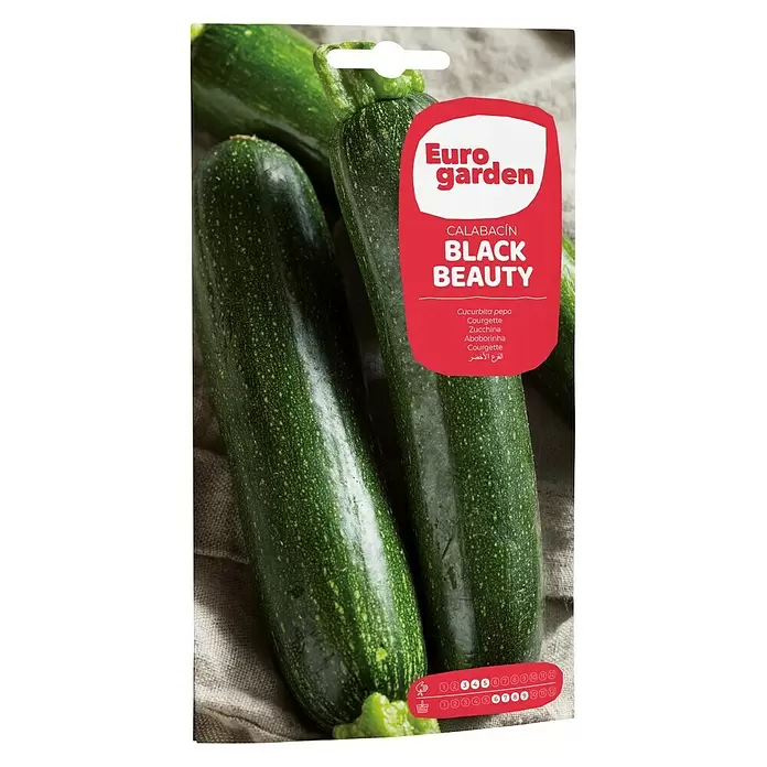 Euro Garden Semillas de vegetales Calabacín Negro belleza - Cosecha: Junio - Vista frontal