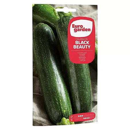 Euro Garden  Semillas de vegetales Calabacín Negro belleza