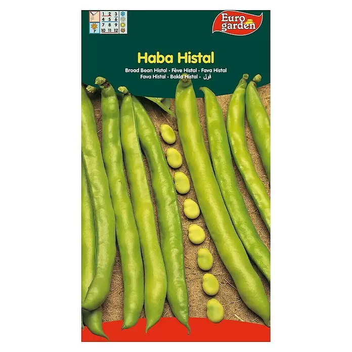 Euro Garden Semillas de vegetales Haba - Haba histal, Cosecha: Marzo - Vista frontal