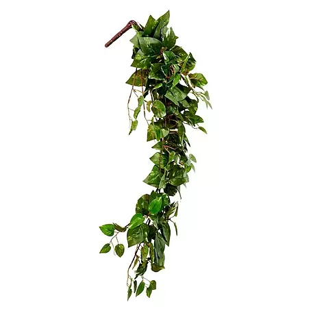 Planta artificial Scindapsus