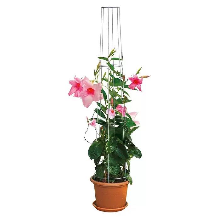Bellissa Ranksäule Aktion - Höhe: 130 cm, Durchmesser: 28 cm - Anwendungsbeispiel