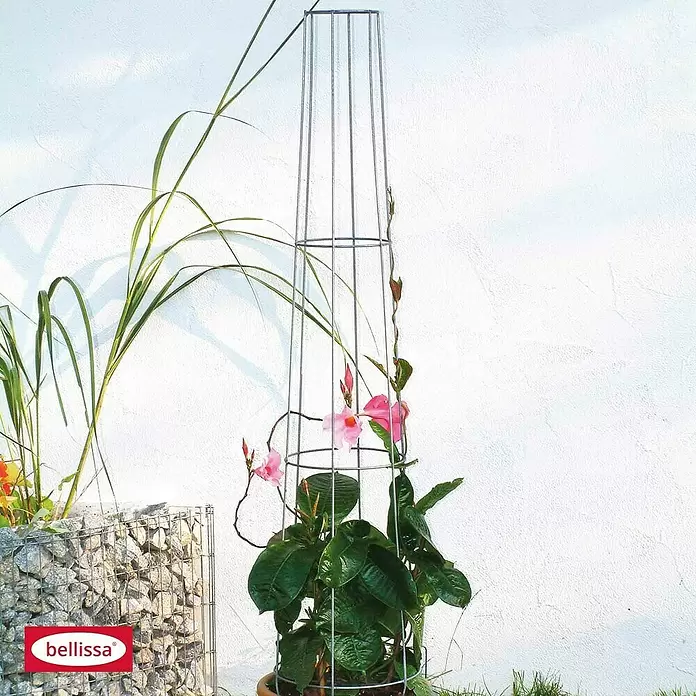 Bellissa Ranksäule Aktion - Höhe: 130 cm, Durchmesser: 28 cm - Stimmungsaufnahme