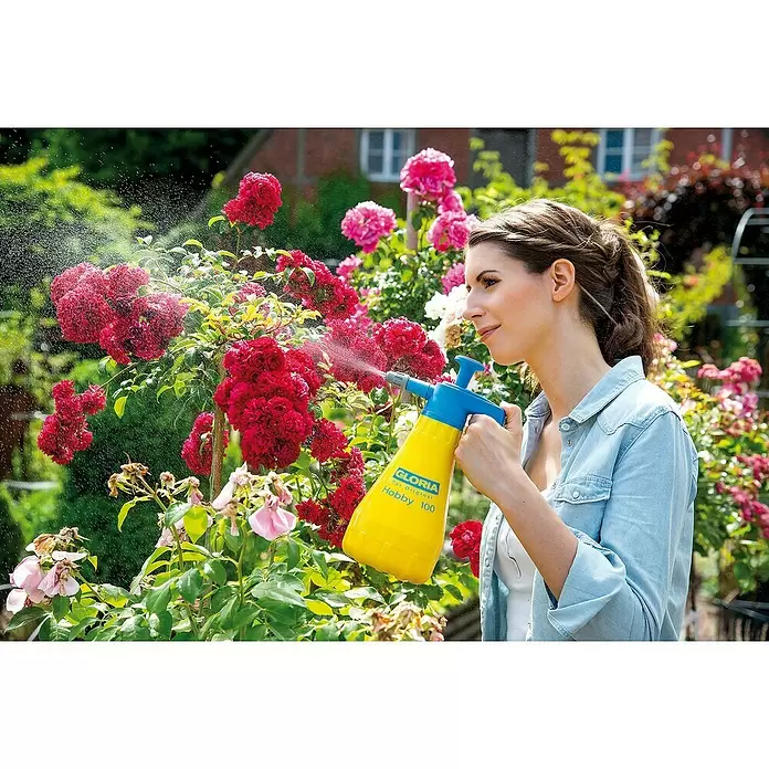 Gloria Drucksprühgerät Hobby 100 mit verstellbarer Düse - 1 l - Anwendungsbeispiel