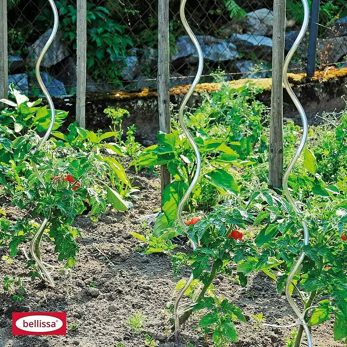 Bellissa Tomatenspirale - Durchmesser: 7 mm, Silber - Stimmungsaufnahme