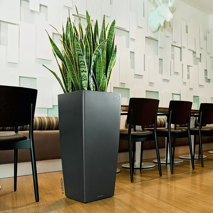 Lechuza Pflanzsäule eckig Cubico Premium - Außenmaß (L x B x H): 39,5 x 39,5 x 75,5 cm, Kunststoff, Anthrazit metallic - Stimmungsaufnahme