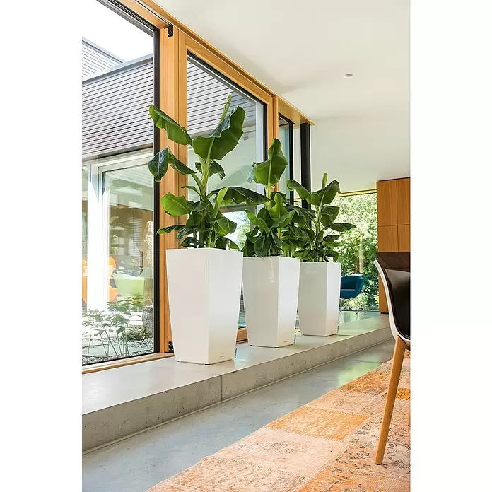 Lechuza Pflanzsäule eckig Cubico Premium - Außenmaß (L x B x H): 39,5 x 39,5 x 75,5 cm, Kunststoff, Weiß - Stimmungsaufnahme