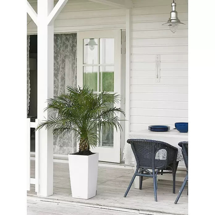 Lechuza Pflanzsäule eckig Cubico Premium - Außenmaß (L x B x H): 29,5 x 29,5 x 56,5 cm, Kunststoff, Weiß - Stimmungsaufnahme