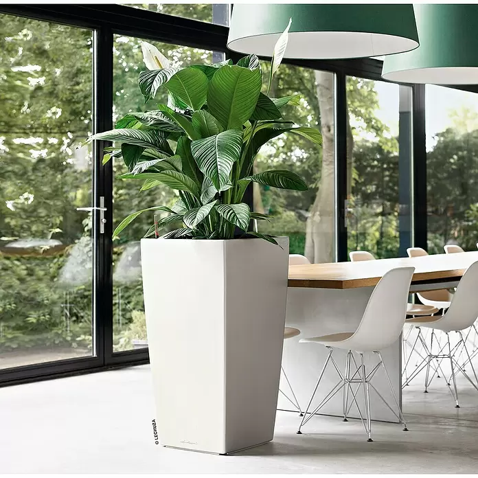 Lechuza Pflanzsäule eckig Cubico Premium - Außenmaß (L x B x H): 29,5 x 29,5 x 56,5 cm, Kunststoff, Weiß - Stimmungsaufnahme