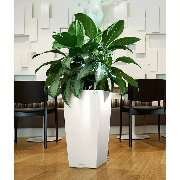 Lechuza Pflanzsäule eckig Cubico Premium - Außenmaß (L x B x H): 39,5 x 39,5 x 75,5 cm, Kunststoff, Weiß - Stimmungsaufnahme