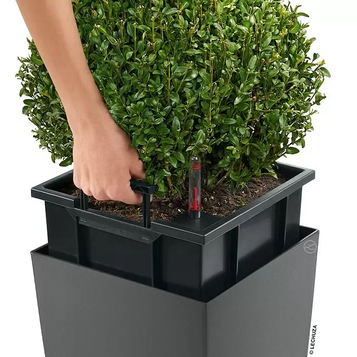 Lechuza Pflanzsäule eckig Cubico Premium - Außenmaß (L x B x H): 29,5 x 29,5 x 56,5 cm, Kunststoff, Anthrazit metallic - Detailaufnahme