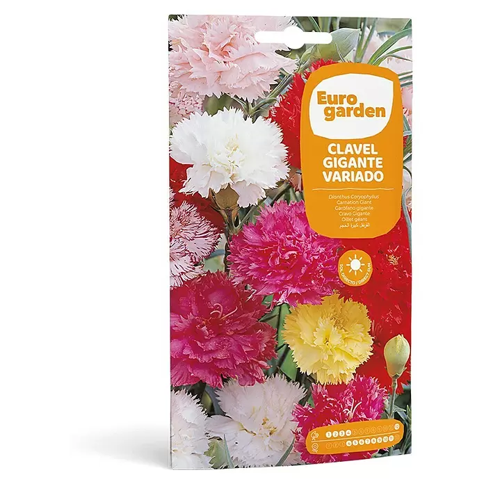 Euro Garden Semillas de flores Clavel Gigante variado - Época de floración: Marzo - Vista frontal