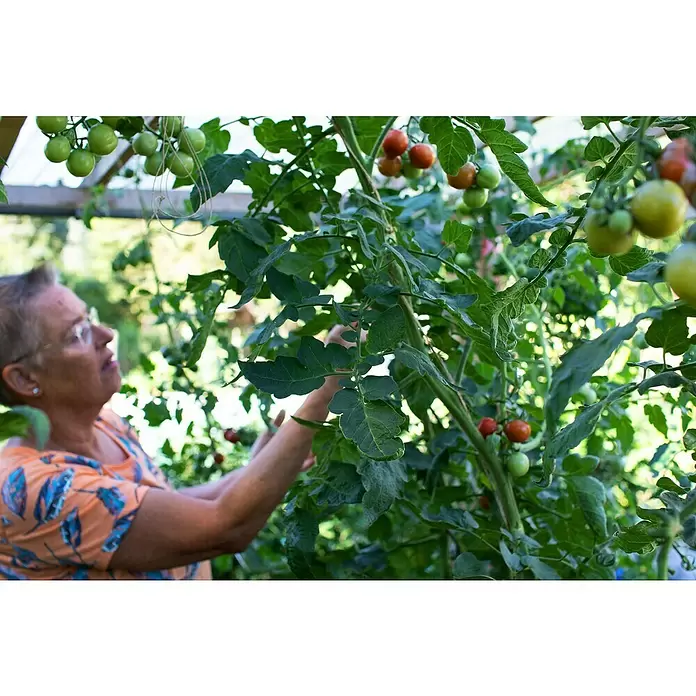 Gardol Pure Nature Tomaten- & Gemüseerde - 20 l - Stimmungsaufnahme