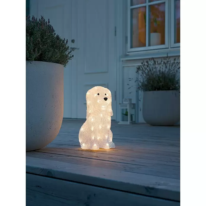 Led-decoratielamp Hond - l x b x h: 26 x 18 x 31 cm, Warm wit, Acrylvezel - Toepassingsvoorbeeld