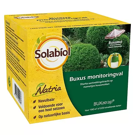 Solabiol  Buxusmotval BUXatrap