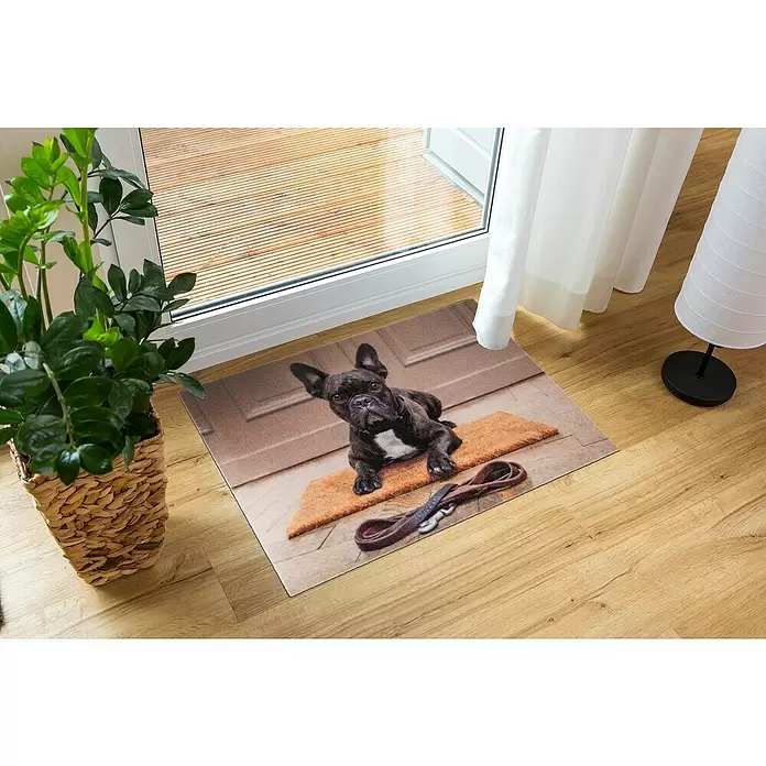 Astra Deco Sauberlaufmatte Print - Bulldogge, Bunt, 40 x 60 cm, 100 % Polyamid - Stimmungsaufnahme