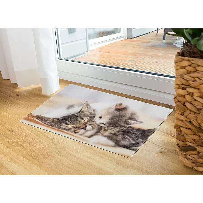 Astra Deco Sauberlaufmatte Print - Kitten, Bunt, 40 x 60 cm, 100 % Polyamid - Stimmungsaufnahme