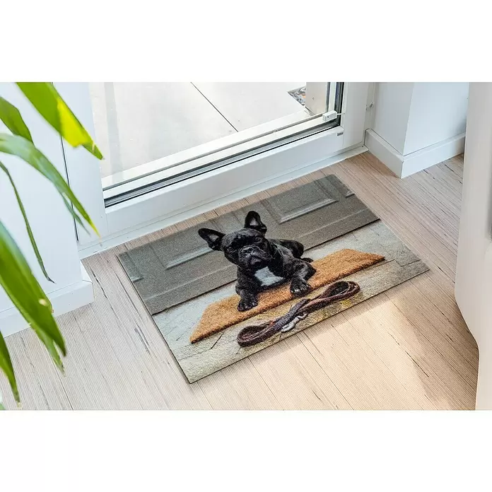 Astra Deco Sauberlaufmatte Print - Bulldogge, Bunt, 40 x 60 cm, 100 % Polyamid - Stimmungsaufnahme