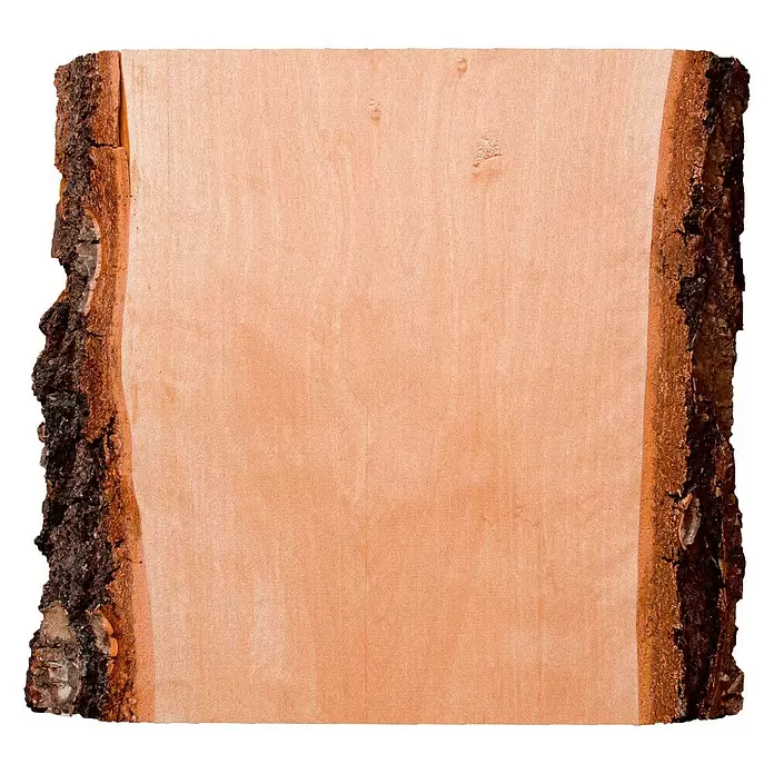 Drechselholz - Birke, L x B x S: 15 x 15 x 6 cm, Kanten mit Rindenanteil, Unbehandelt - Detailaufnahme